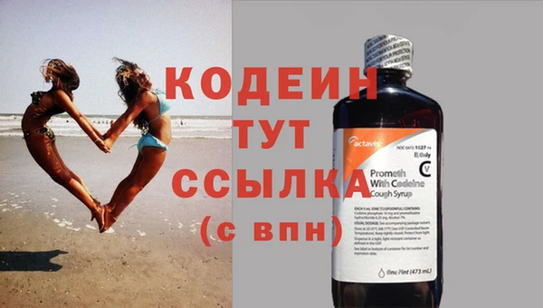 шишки Новокубанск
