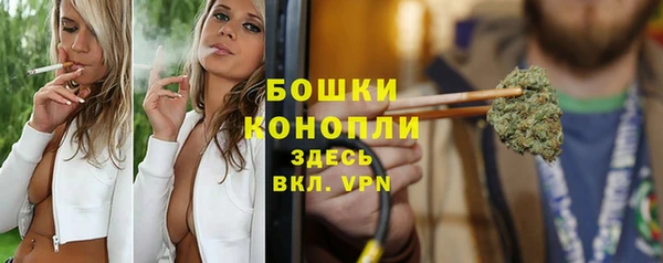 ПСИЛОЦИБИНОВЫЕ ГРИБЫ Переславль-Залесский