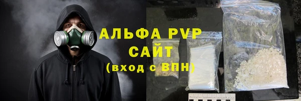 шишки Новокубанск