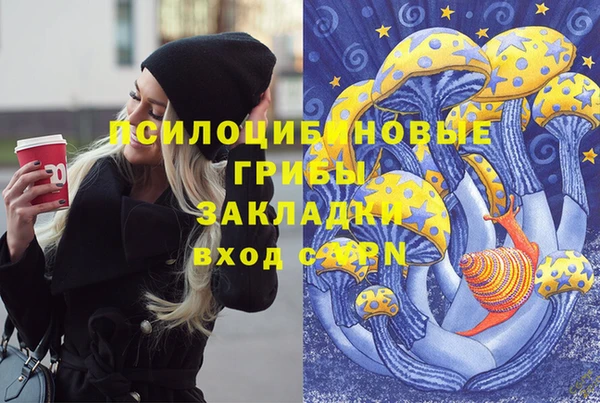 мяу мяу мука Новодвинск