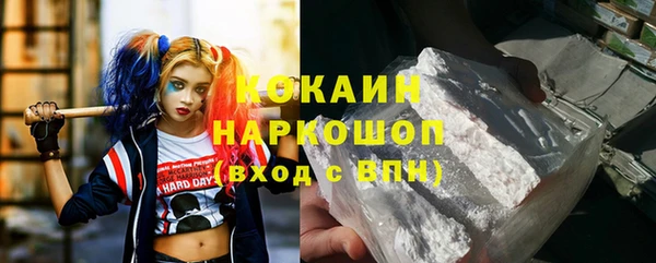 шишки Новокубанск