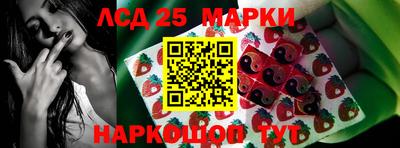 твердый Бийск