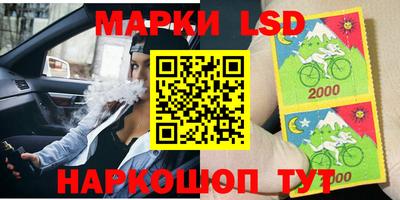 ешки Бийск