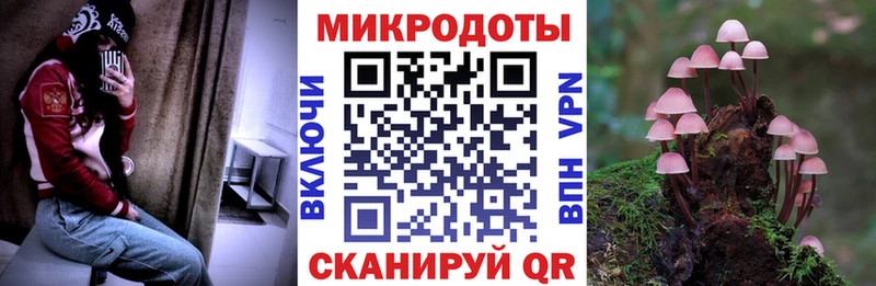 даркнет какой сайт  Домодедово  Псилоцибиновые грибы Psilocybe 