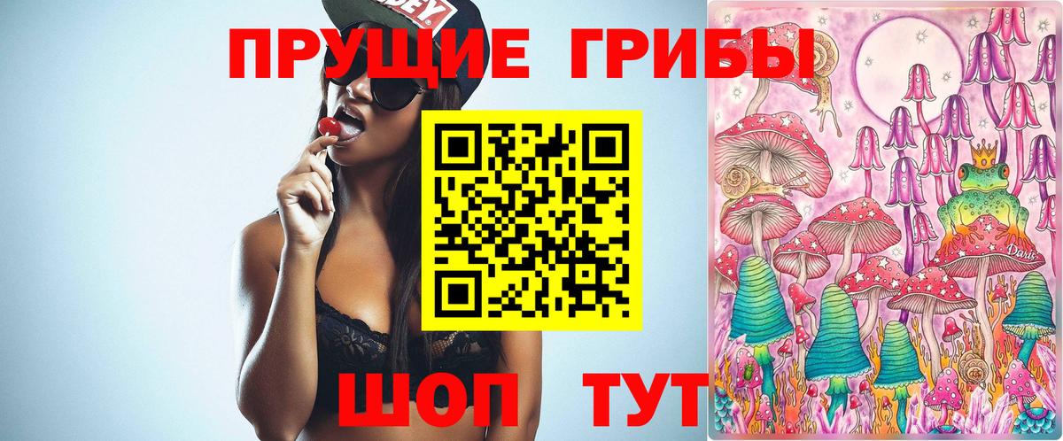 Псилоцибиновые грибы GOLDEN TEACHER  Вход с VPN  Домодедово 