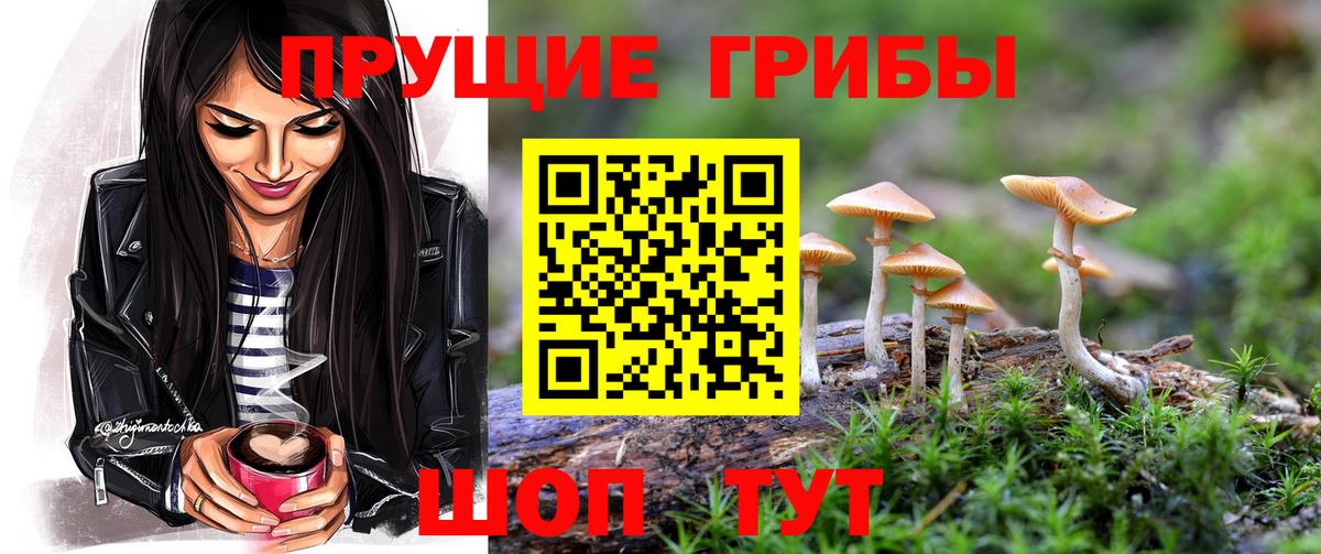 Галлюциногенные грибы прущие грибы  купить наркотики цена  Домодедово 