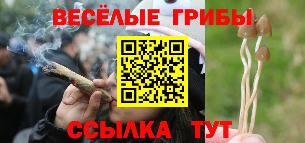 Галлюциногенные грибы мухоморы Домодедово